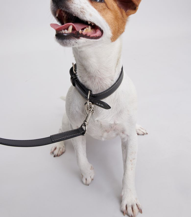 A.P.C. Collier Cuir Toutou Noir