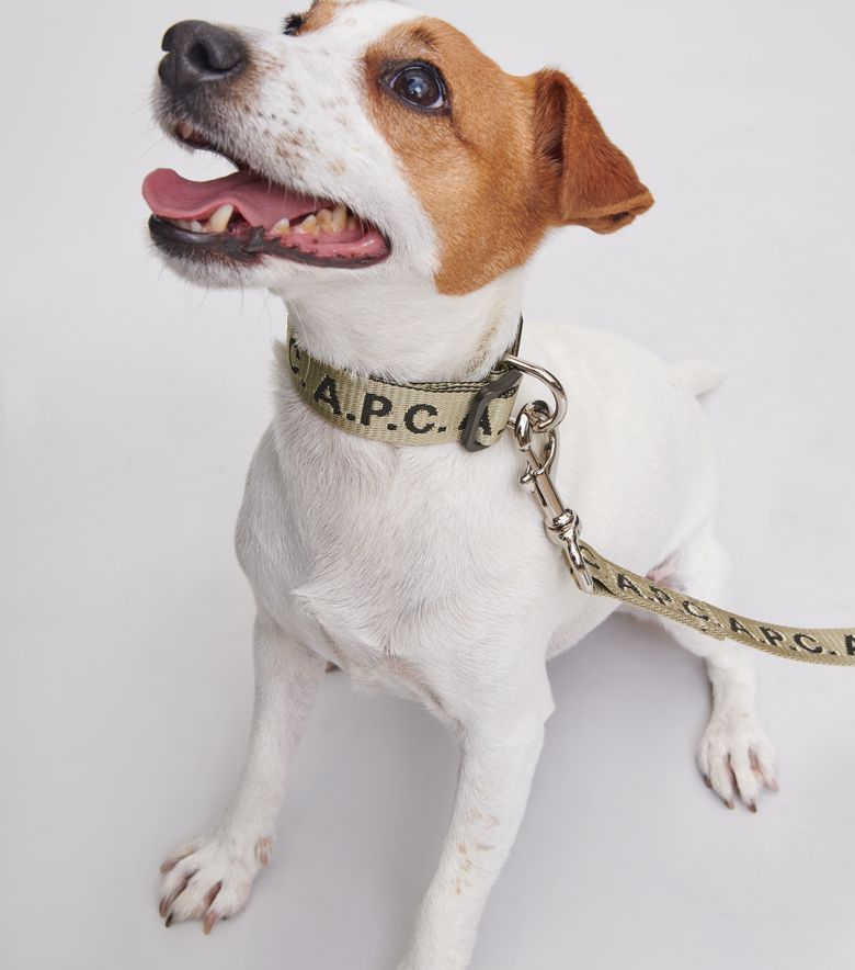 A.P.C. Collier Toutou Logo Kaki