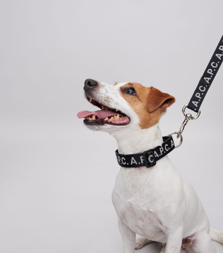 A.P.C. Collier Toutou Logo Noir