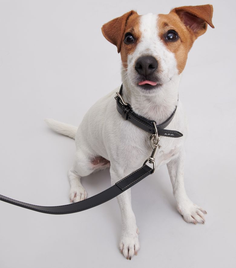 A.P.C. Laisse Cuir Toutou Noir