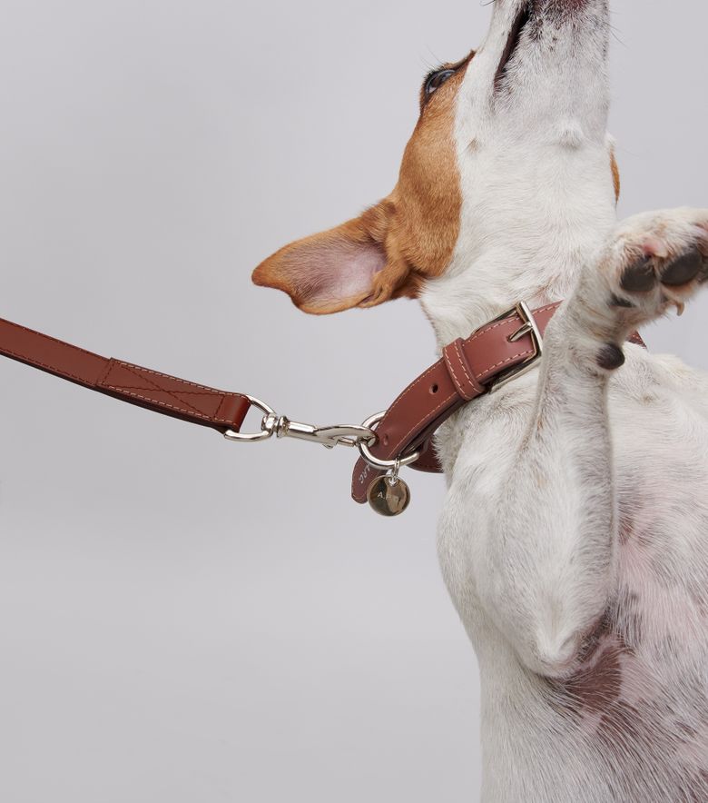 A.P.C. Laisse Cuir Toutou Noisette