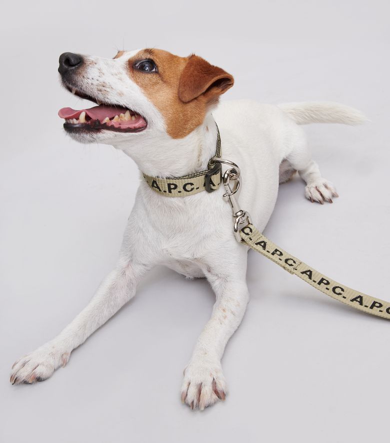 A.P.C. Laisse Toutou Logo Kaki