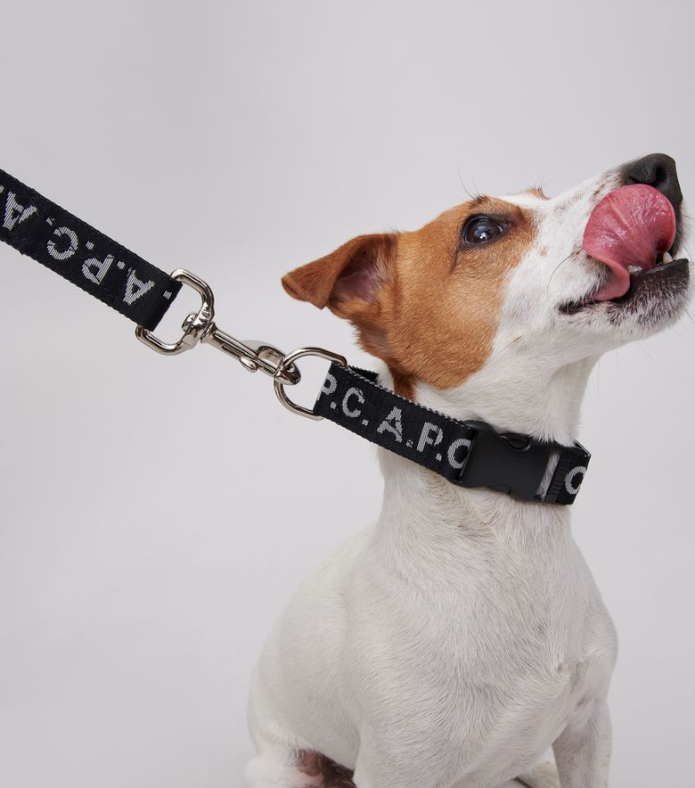 A.P.C. Laisse Toutou Logo Noir