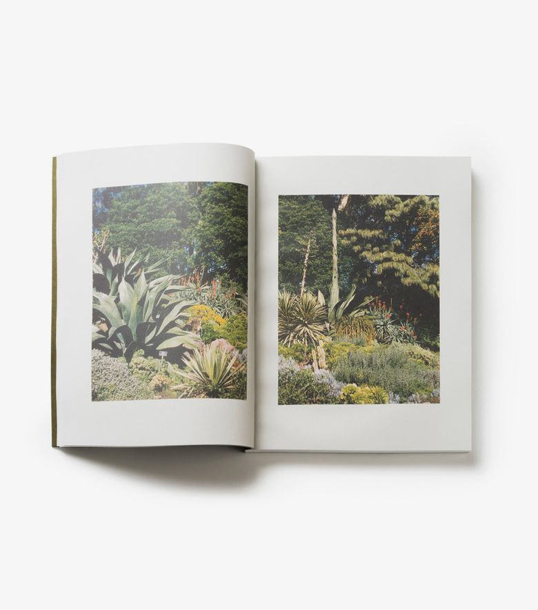 COLLABORATIONS A.P.C. & Laurent Deroo Architecte Multicolore