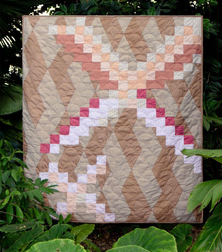 COLLABORATIONS Silène Multicolore