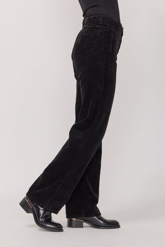 Acquaverde Pantalon Melvil En Velours - Black