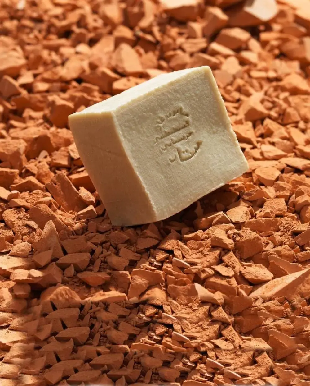Alepia Savon D'Alep Premium - à L'huile D'Argan