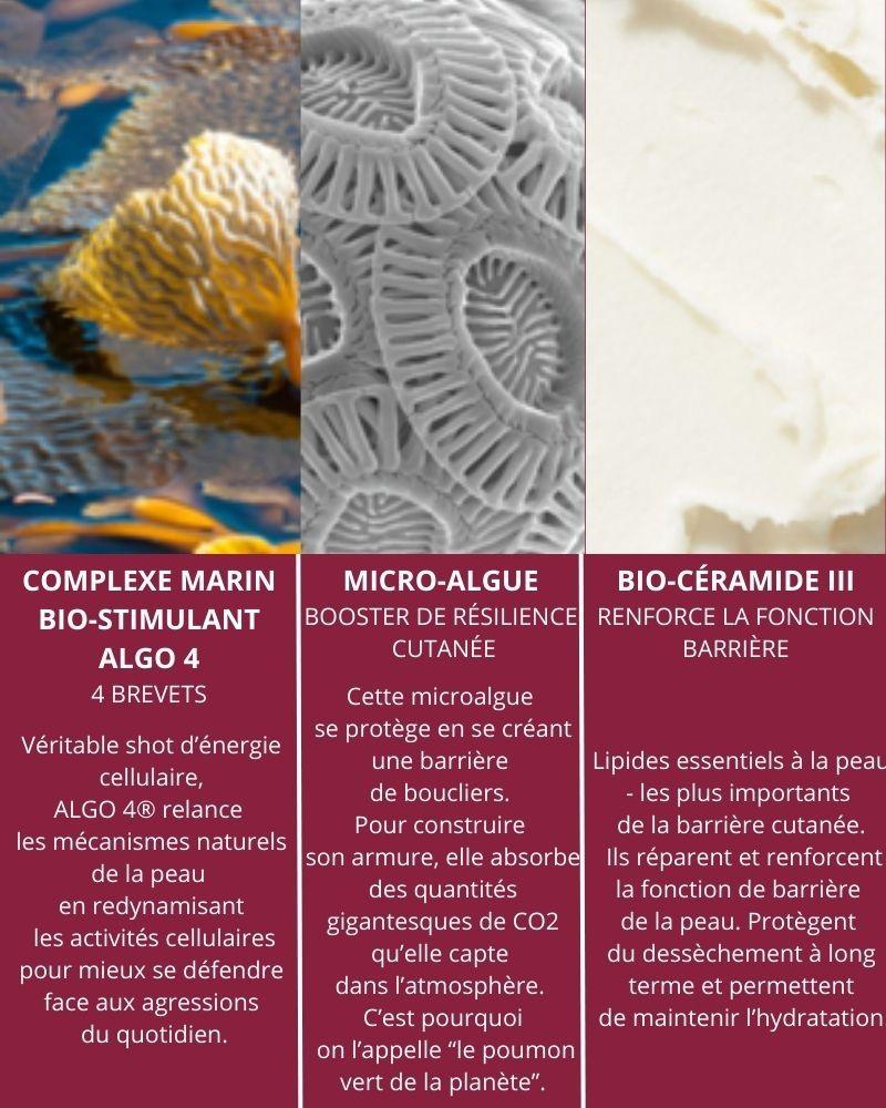 Algologie Crème Du Jardin Marin - Crème Énergisante Protectrice