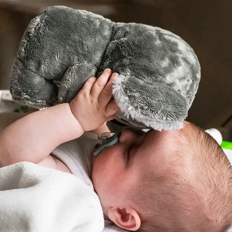 Alphanova Coffret Eau De Senteur Bébé - Adoptez Un Koala