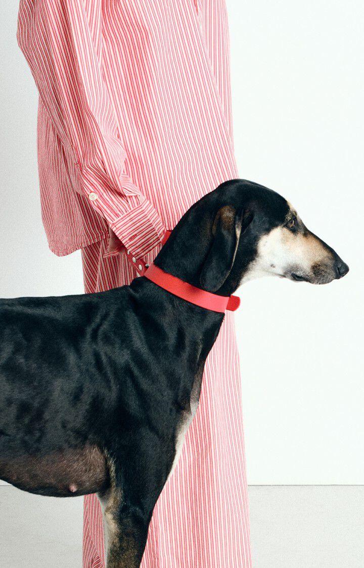 American Vintage Collier Pour Chien La Mutt X AMV - FRAISE Rouge - E25