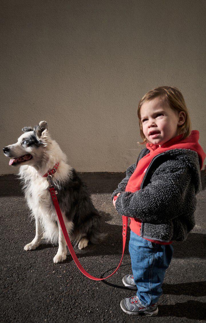 american vintage Collier pour chien La Mutt x AMV - FRAISE Rouge - E25