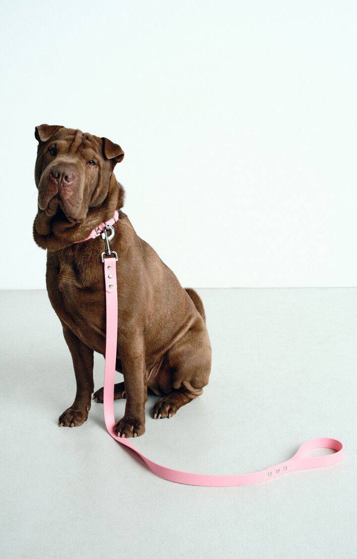 american vintage Collier pour chien La Mutt x AMV - ROSE CLAIR Rose - E25