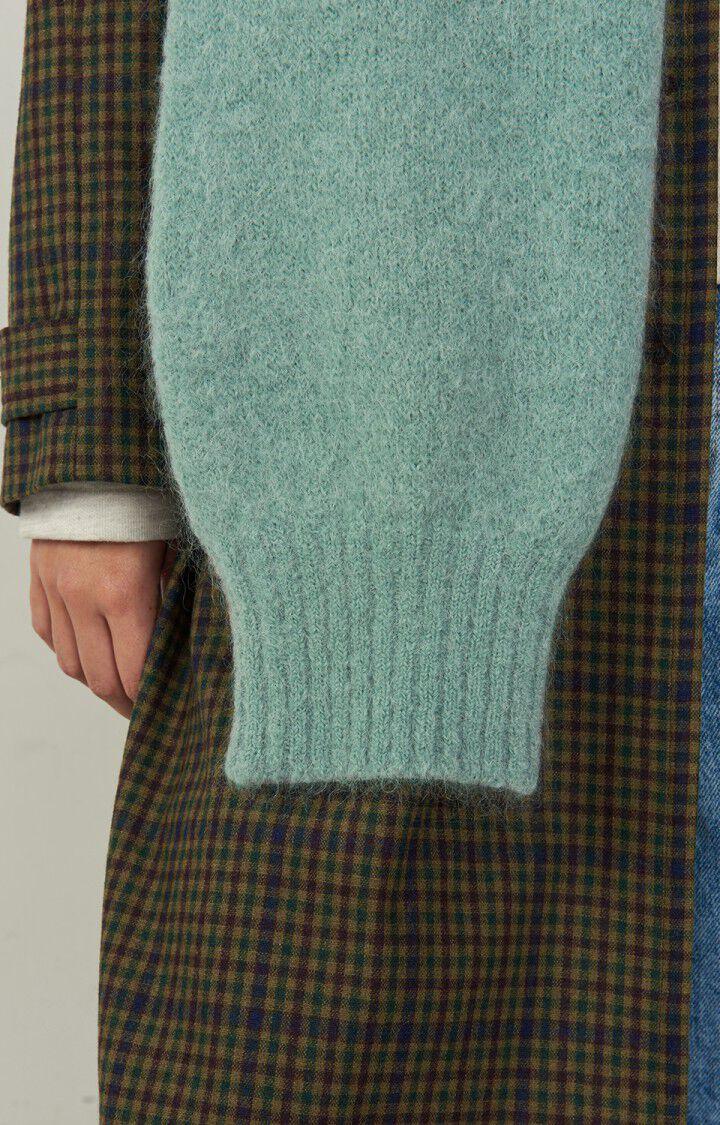 American Vintage Echarpe Pinobery - ALOE VERA Vert - H22