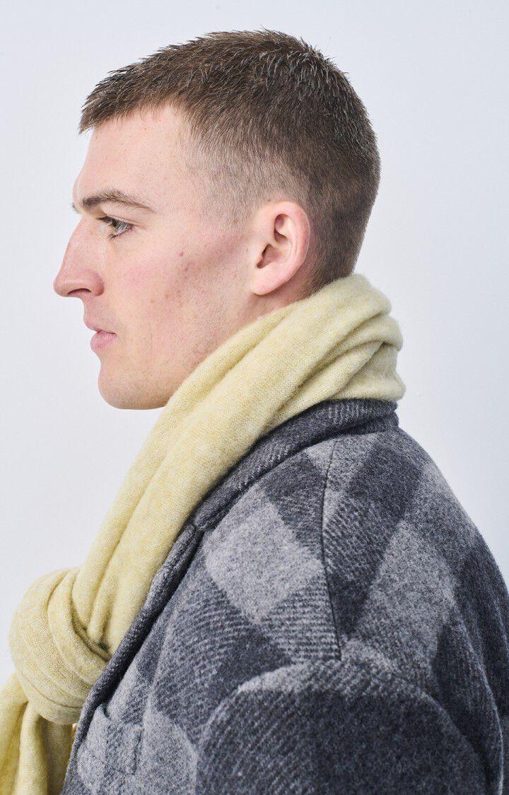 American Vintage Echarpe Razpark - ORGEAT CHINE Beige - H22