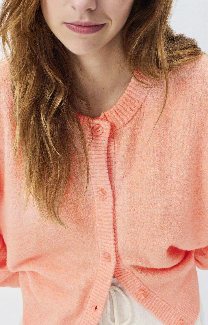 American Vintage Gilet Femme Damsville - CAMELIA CHINE 55 Manches Longues Rose - H23