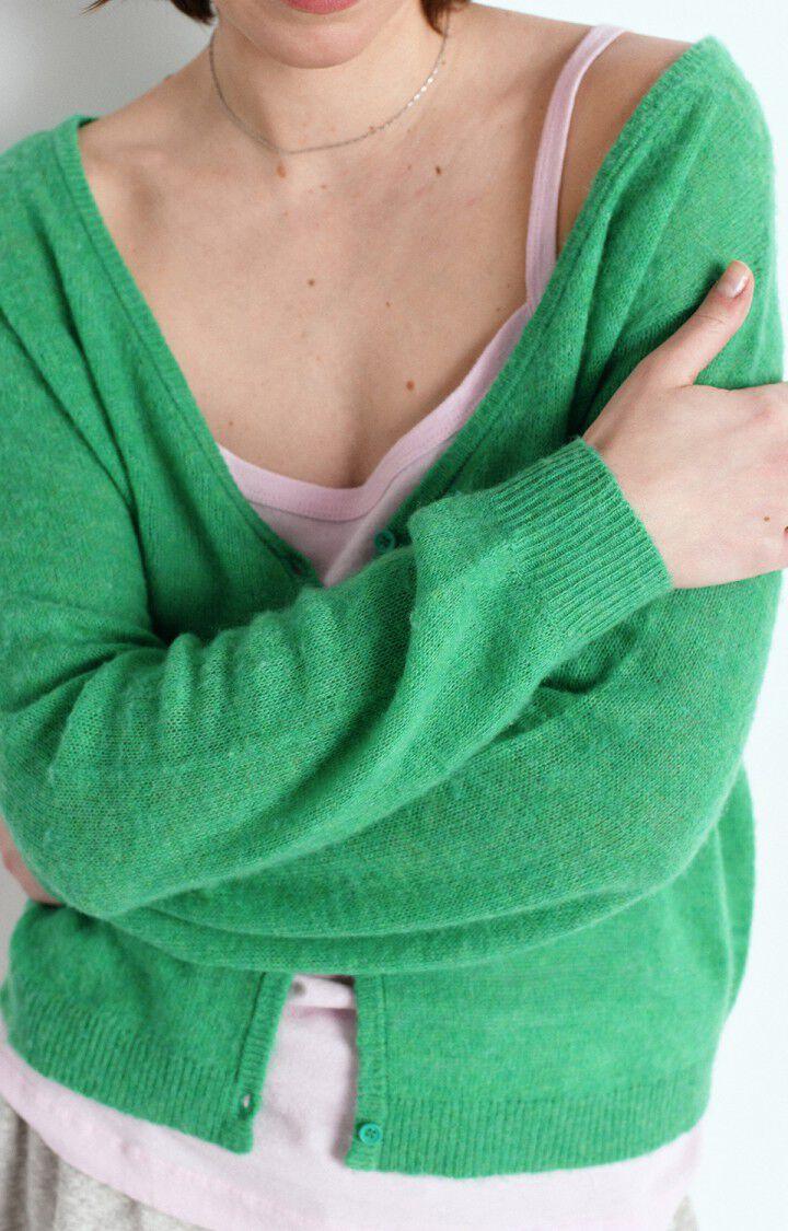 American Vintage Gilet Femme Dumy - VERDOYANT CHINE 52 Manches Longues Vert - E25