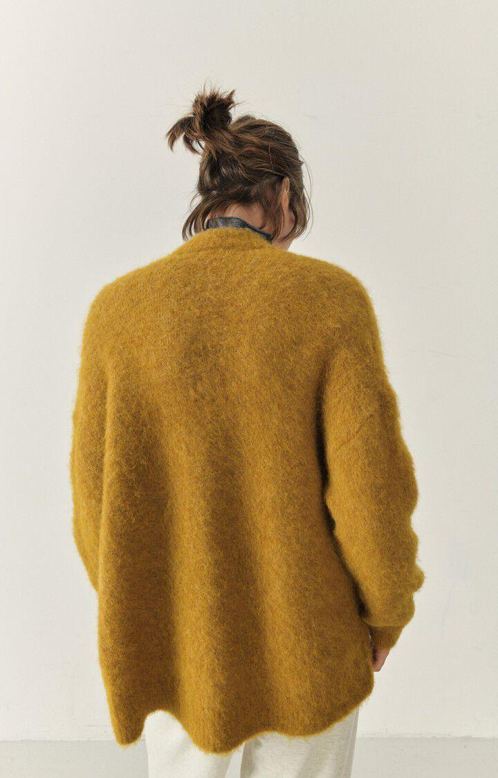 American Vintage Gilet Femme Foubay - CANYON CHINE 50 Manches Longues Marron - H22