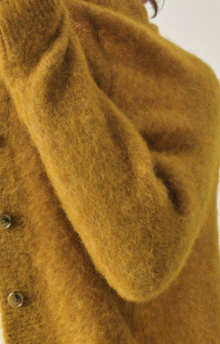 American Vintage Gilet Femme Foubay - CANYON CHINE 50 Manches Longues Marron - H22