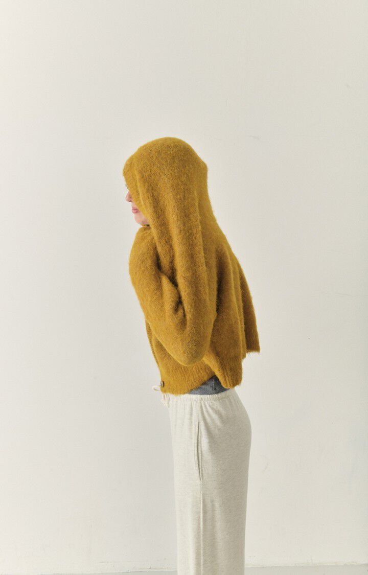 American Vintage Gilet Femme Foubay - CANYON CHINE 50 Manches Longues Marron - H22