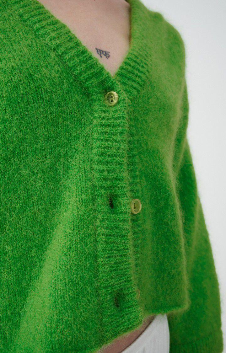 American Vintage Gilet Femme Pinobery - RAINETTE Manches Longues Vert - E22B