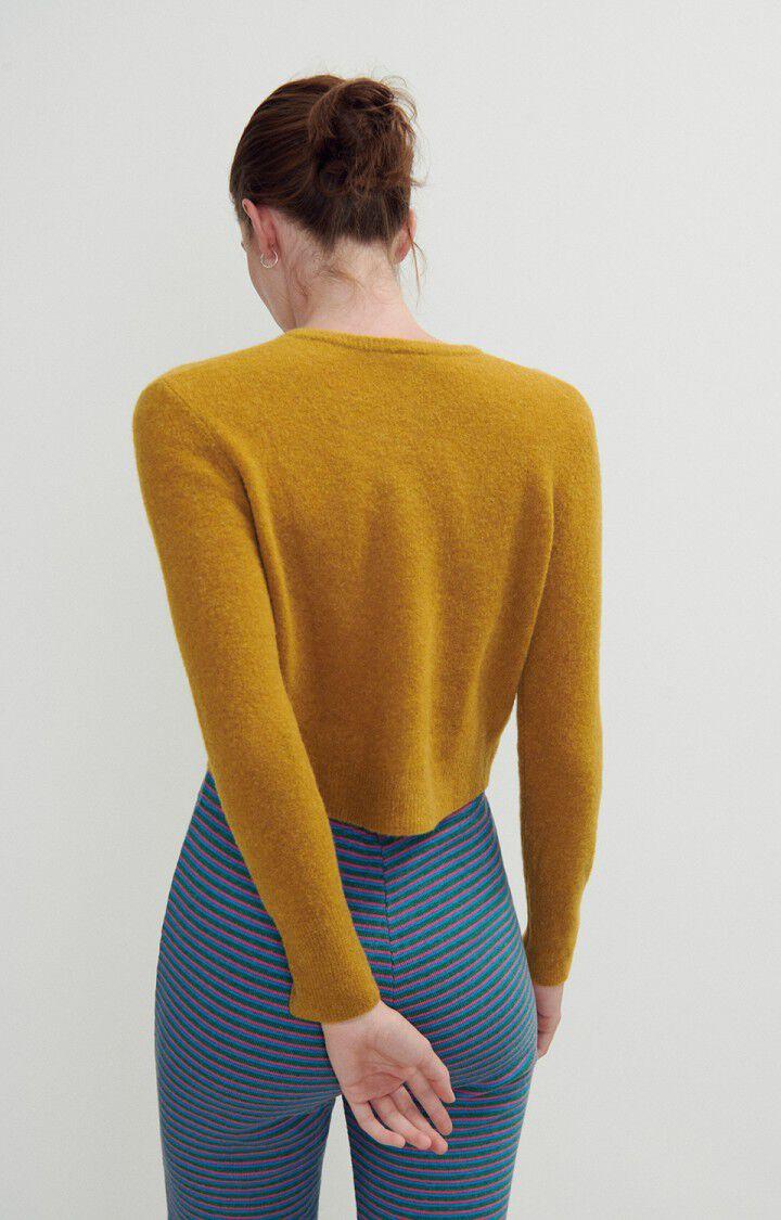 American Vintage Gilet Femme Razpark - SAFRAN CHINE 60 Manches Longues Marron - H23