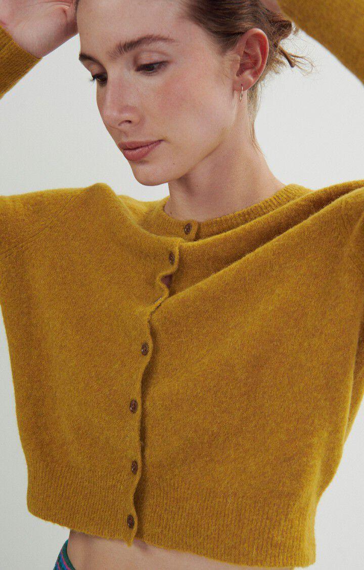 American Vintage Gilet Femme Razpark - SAFRAN CHINE 60 Manches Longues Marron - H23