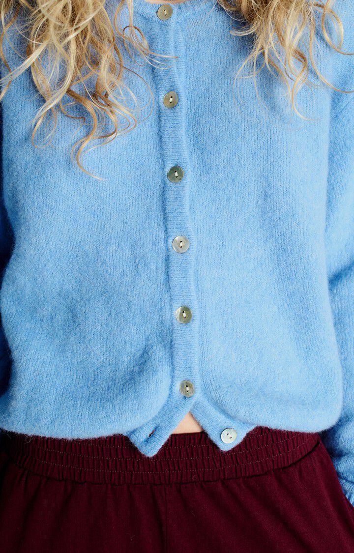 American Vintage Gilet Femme Vitow - ATMOSPHERE CHINE 50 Manches Longues Bleu - E25