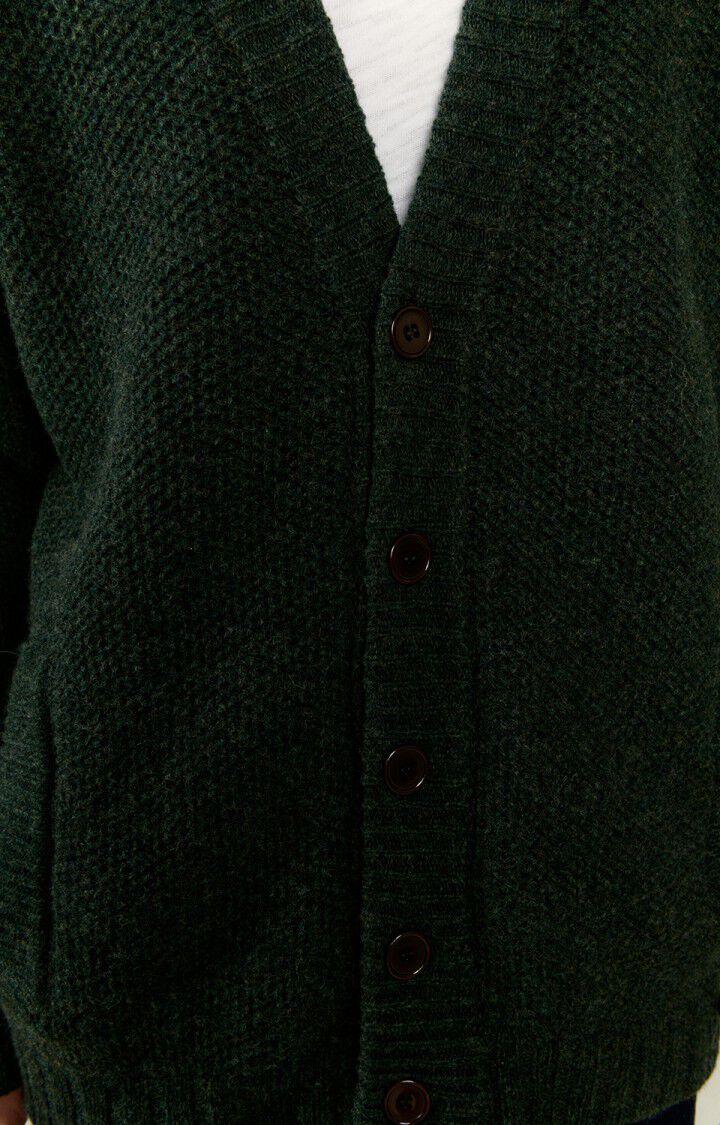 American Vintage Gilet Homme Agatown - ARBRE CHINE Manches Longues Vert - H22