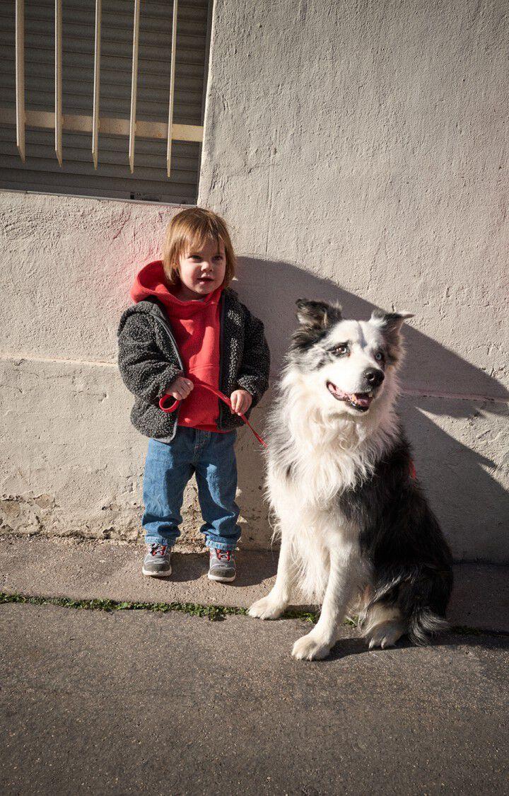 American Vintage Laisse Pour Chien La Mutt X AMV - FRAISE Rouge - E25