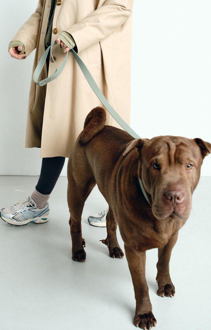 American Vintage Laisse Pour Chien La Mutt X AMV - KAKI Vert - E25