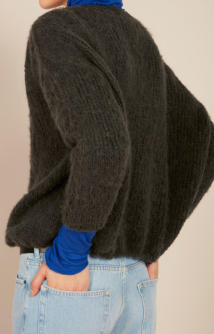American Vintage Pull Femme Boolder - PLANTE Vert - H19