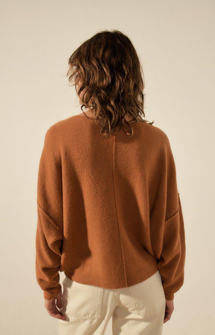 American Vintage Pull Femme Damsville - ECUREUIL 42 Manches Longues Marron - E23