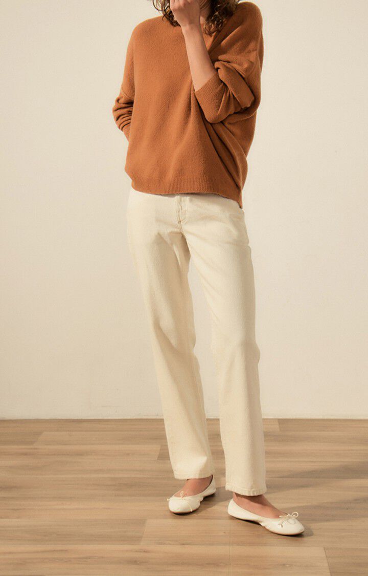 American Vintage Pull Femme Damsville - ECUREUIL 42 Manches Longues Marron - E23