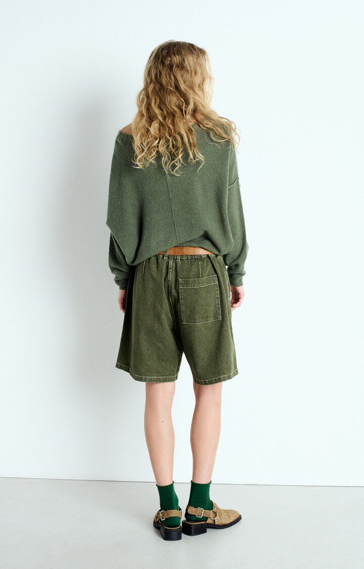American Vintage Pull Femme Damsville - TORTUE CHINE 42 Manches Longues Vert - E25