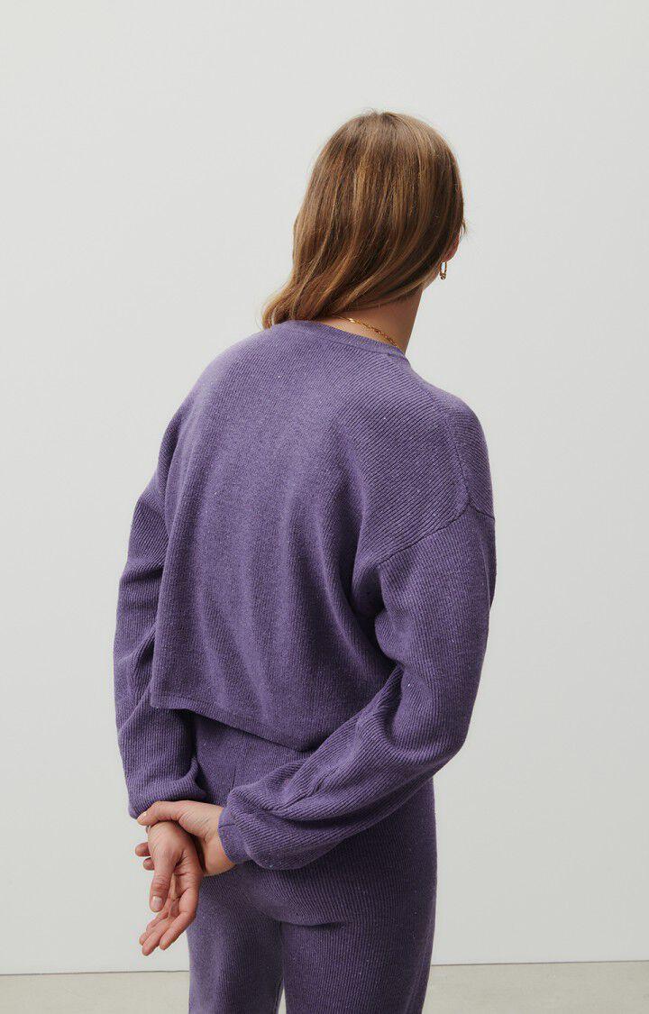 American Vintage Pull Femme Dozborow - VIOLET CHINE 50 Manches Longues Violet - E23