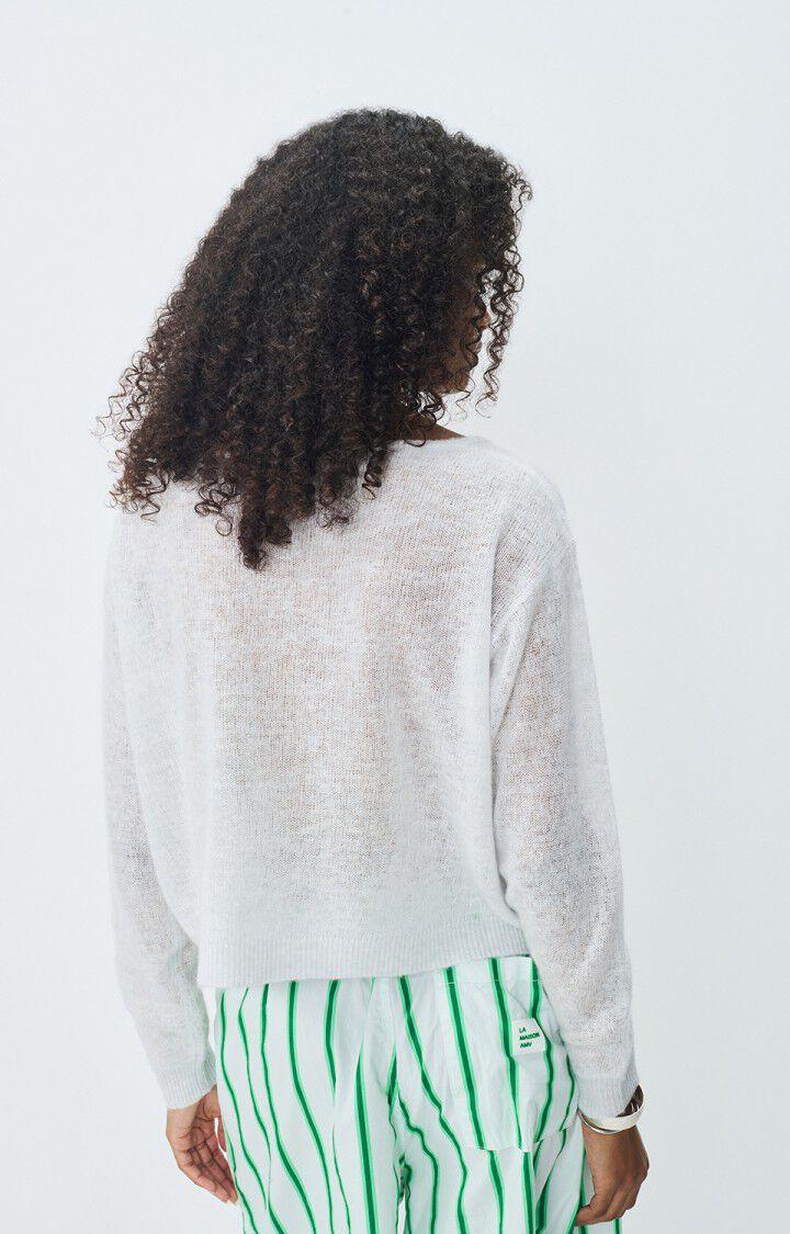 American Vintage Pull Femme Dumy - ARCTIQUE CHINE 52 Manches Longues Gris - E25