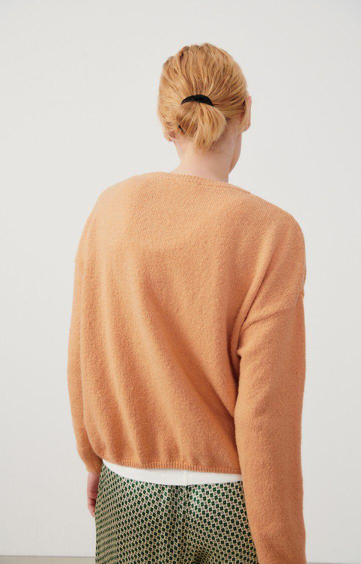 American Vintage Pull Femme Dylbay - NOISETTE 47 Manches Longues Marron - E24