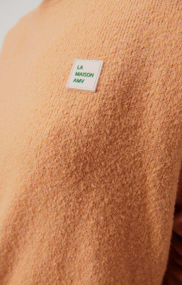 American Vintage Pull Femme Dylbay - NOISETTE 47 Manches Longues Marron - E24