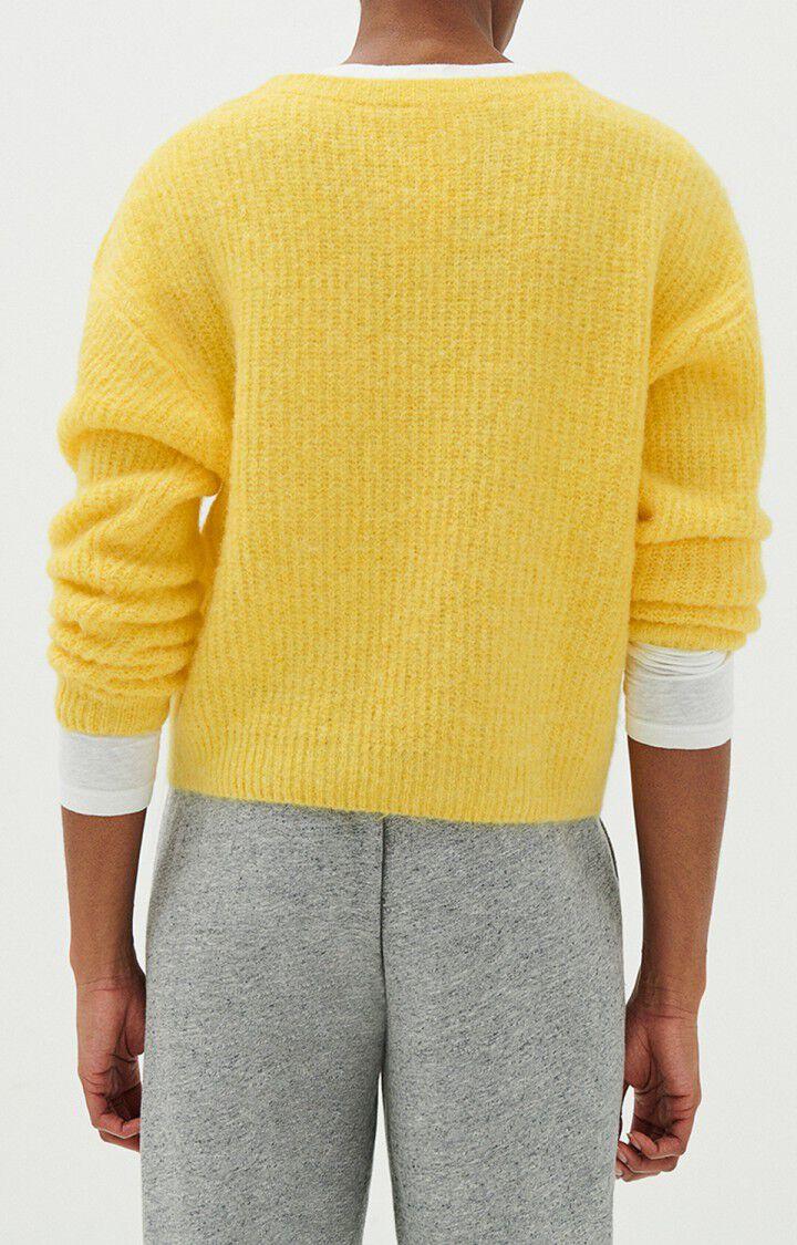 American Vintage Pull Femme East - BERGAMOTE CHINE Jaune - E21