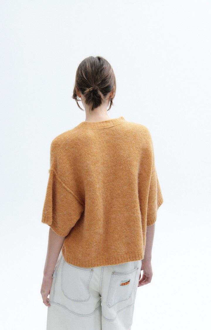 American Vintage Pull Femme East - CHAMEAU CHINE 20 Manches Courtes Marron - E23