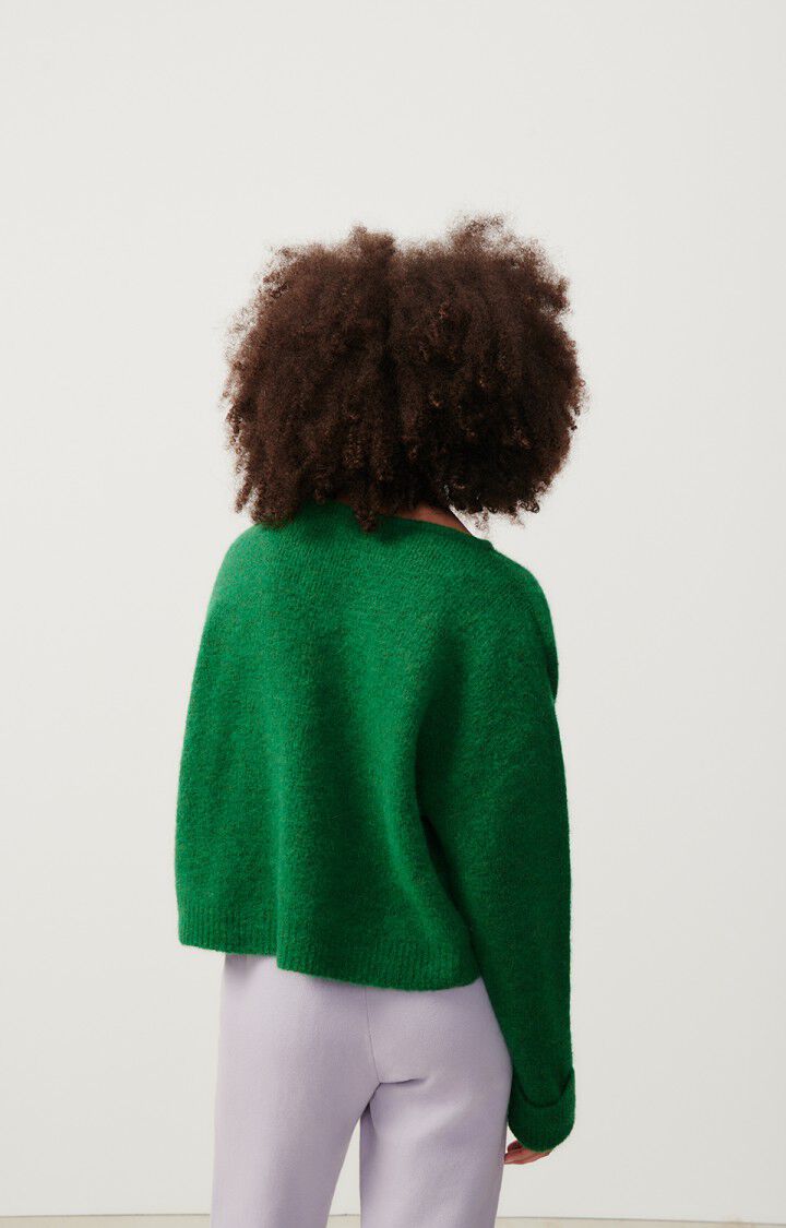 American Vintage Pull Femme East - PELOUSE CHINE 45 Manches Longues Vert - H23