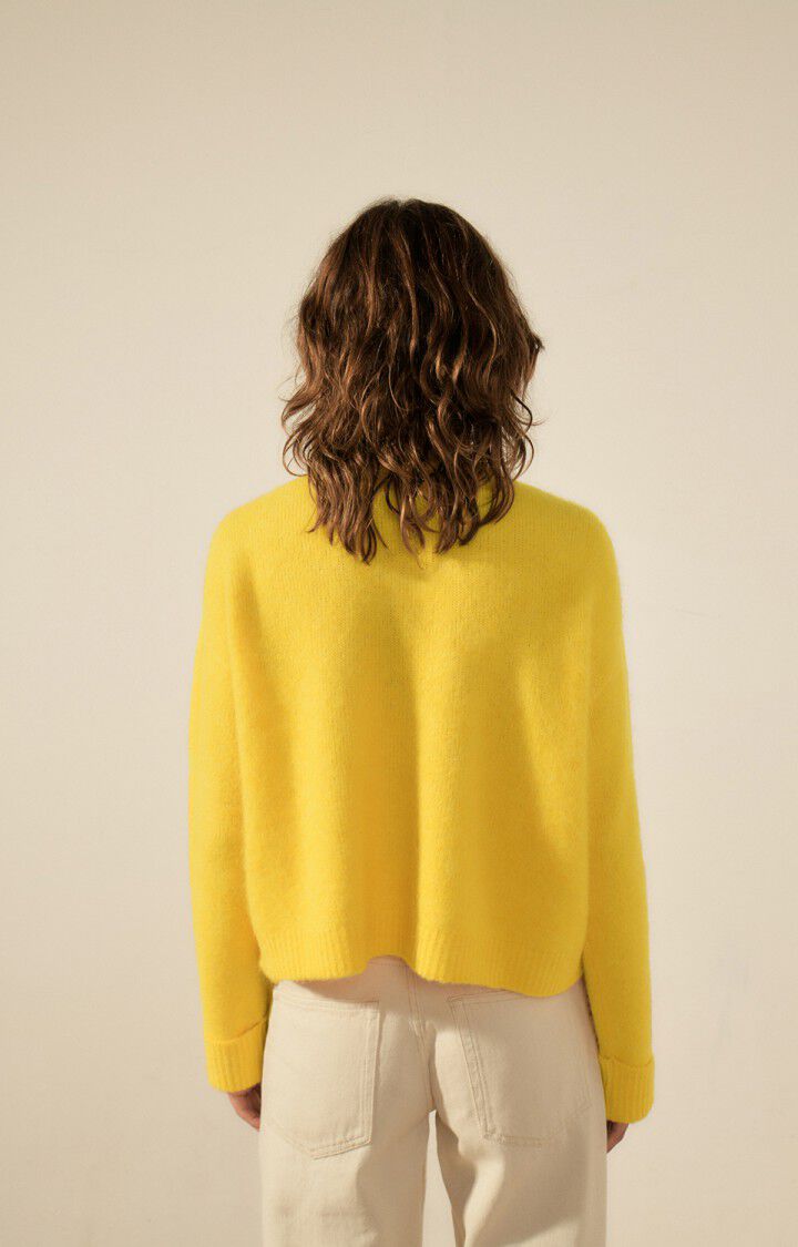 American Vintage Pull Femme East - SOLEIL CHINE 46 Manches Longues Jaune - E23
