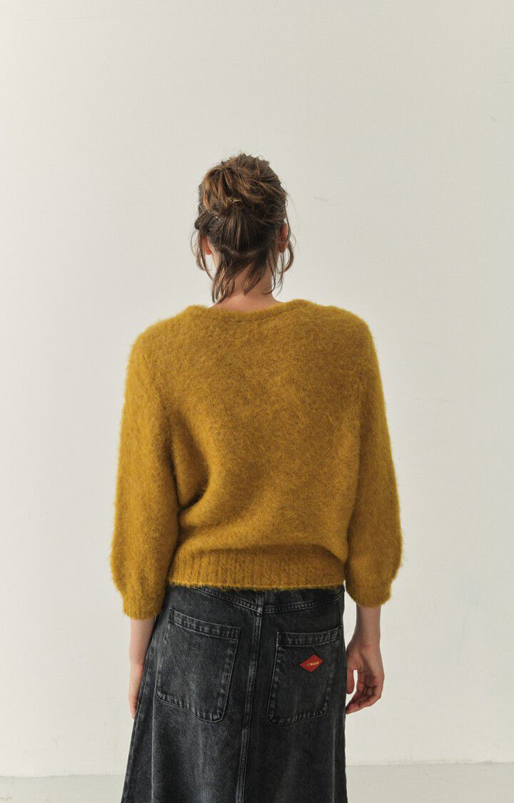 American Vintage Pull Femme Foubay - CANYON CHINE 49 Manches Longues Marron - H22