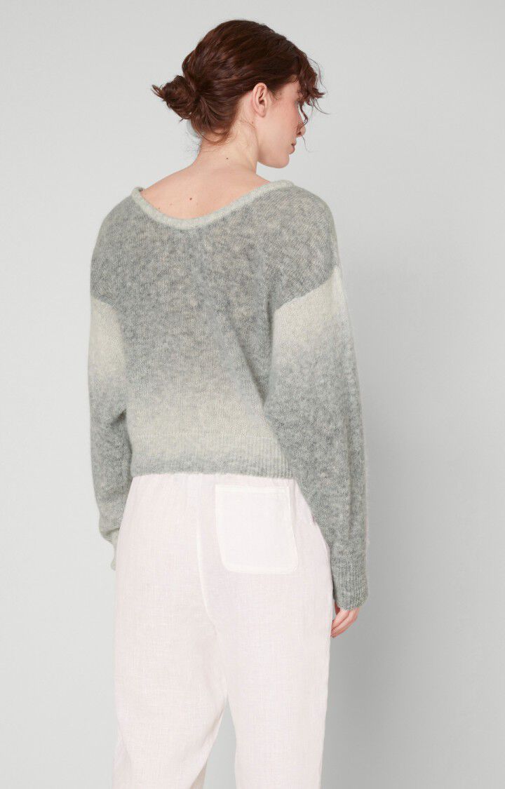 American Vintage Pull Femme Noraxon - GRIS DEGRADE Gris - E22