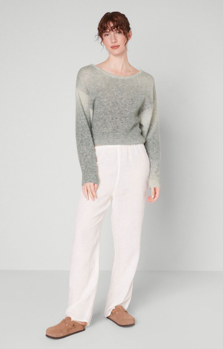 American Vintage Pull Femme Noraxon - GRIS DEGRADE Gris - E22