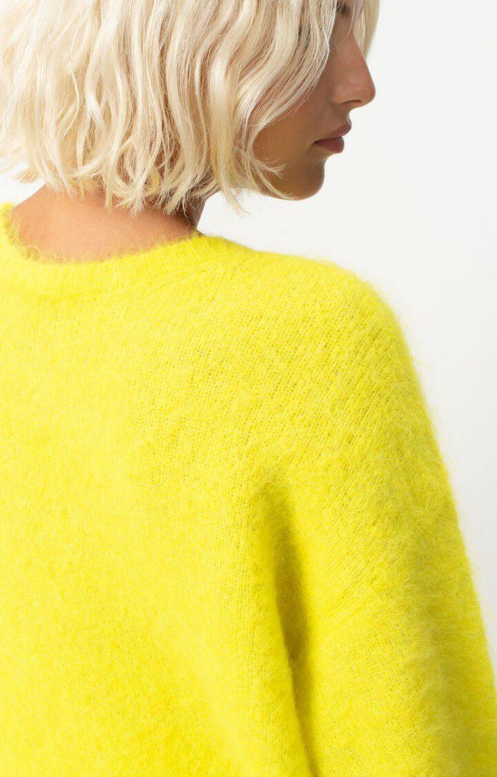 American Vintage Pull Femme Nuny - MIMOSA CHINE 50 Manches Longues Jaune - H24