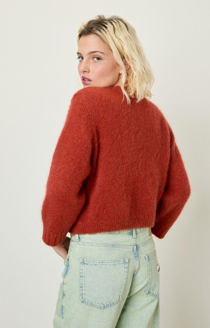 American Vintage Pull Femme Pinobery - ROUILLE Orange - E22