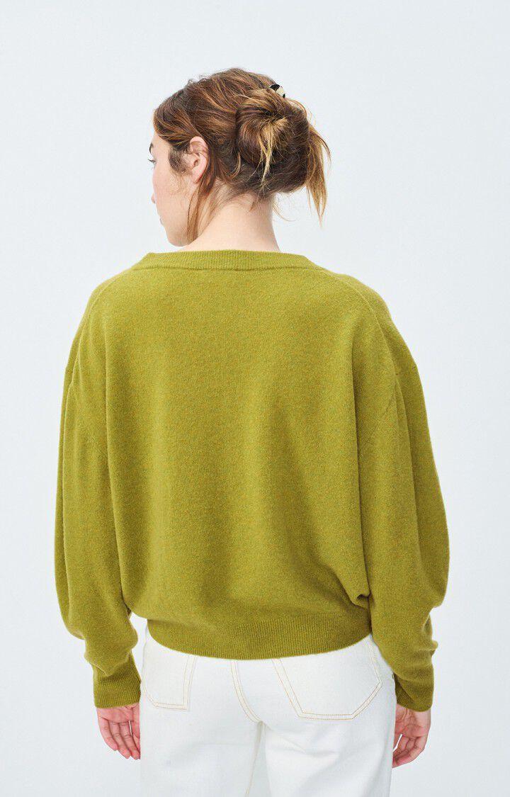 American Vintage Pull Femme Raxow - CAMELEON CHINE 51 Manches Longues Vert - H24