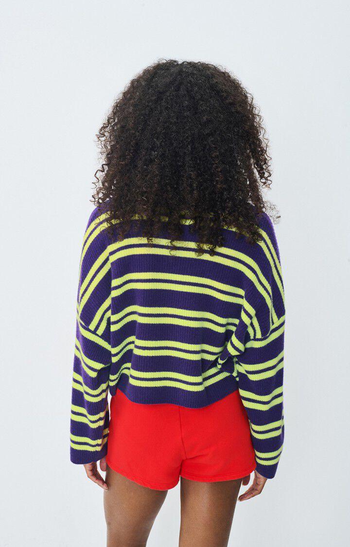 American Vintage Pull Femme Raxow - VIOLET RAYURES JAUNE FLUO 38 Manches Longues Violet - E25