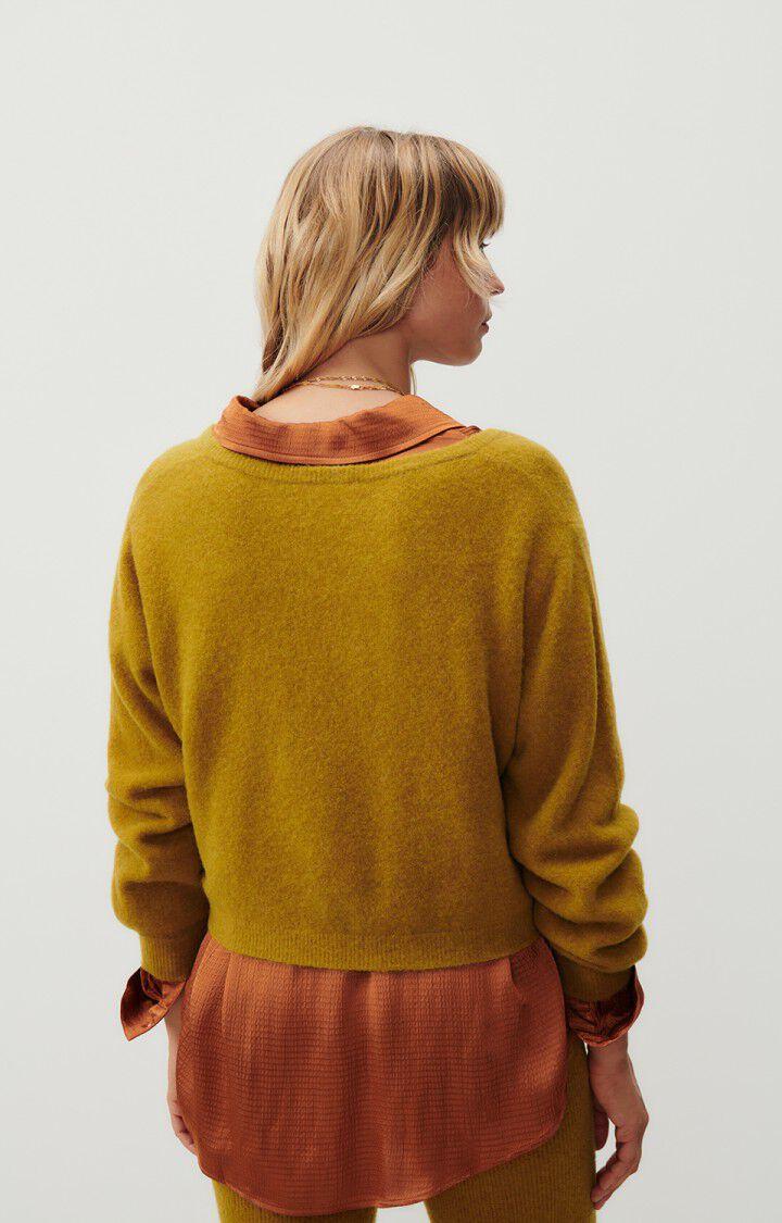 American Vintage Pull Femme Razpark - SAFRAN CHINE 55 Manches Longues Marron - H23